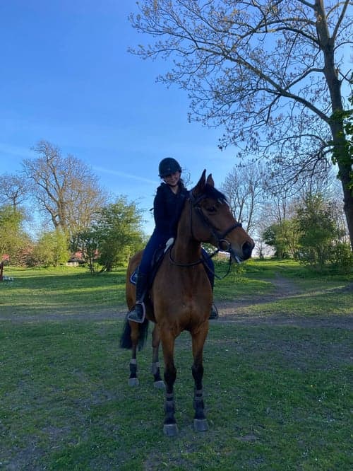 Bild av Fantastisk hobbyhäst