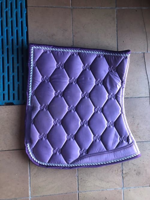 Bild av Lila schabrak från Ps of Sweden 