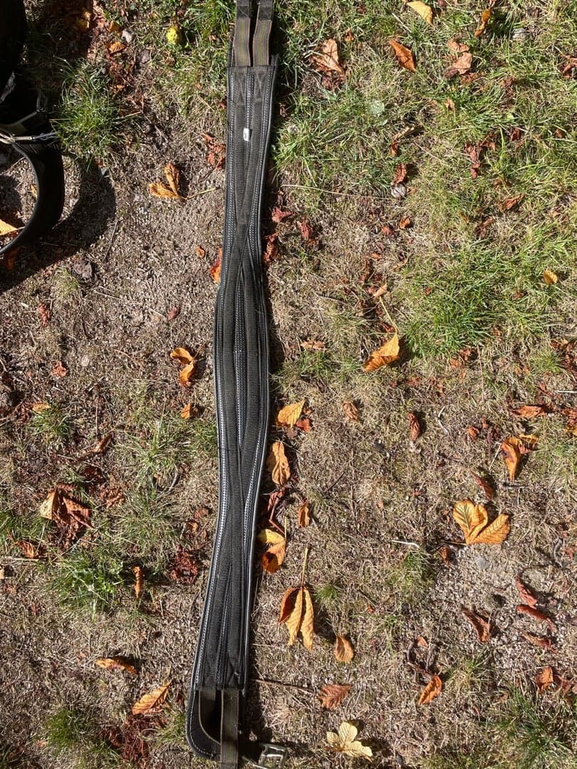 Bild 1 av Sadelgjord