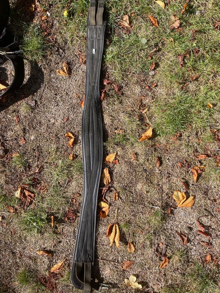 Media 1 av Sadelgjord