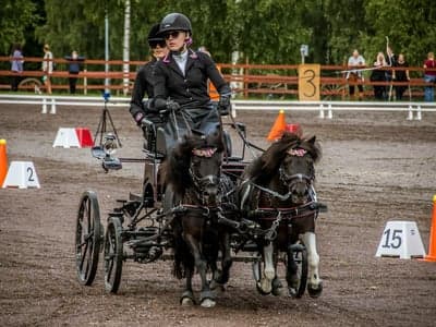 Inlägg 151 av Allround