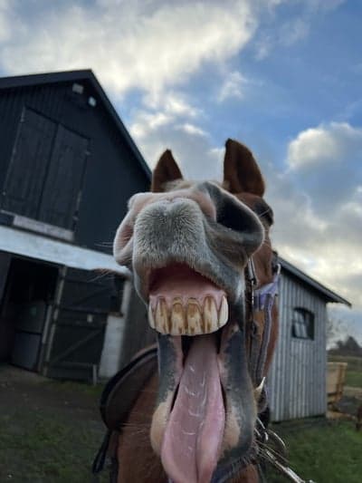 Smiiiiile 😃