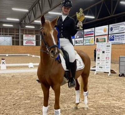 Post 7 of German Riding Pony with title 2 på ungponny SM