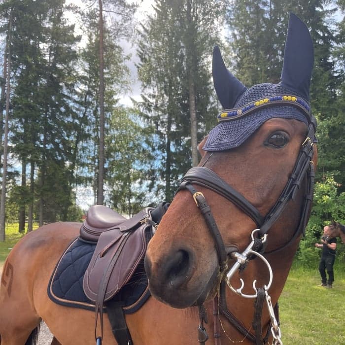 Media 1 av Corbeagh Legend