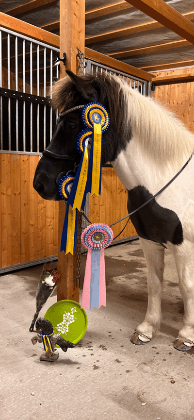 Inlägg 8 av Island med titeln Odinns KM 2023🏅