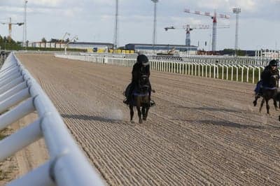 Ponnygalopp 