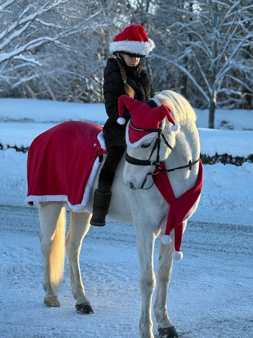 Bild 1 av BullyCulane Bosco