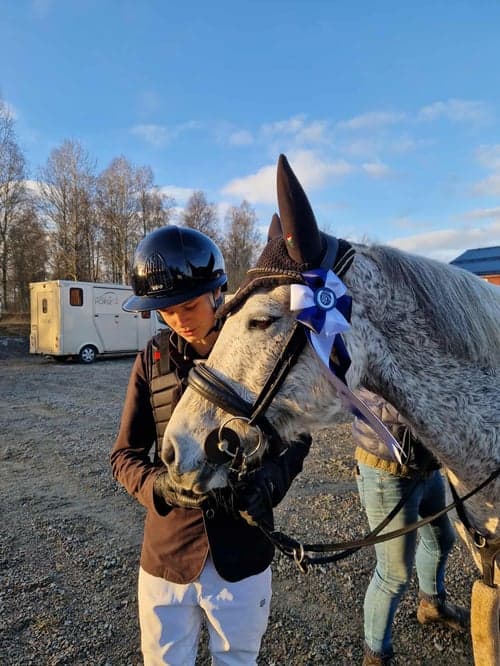 Image of Häftig c-ponny söker ny kompis