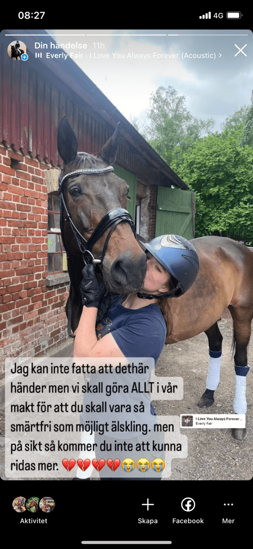 Bild 3 av placeholder text
