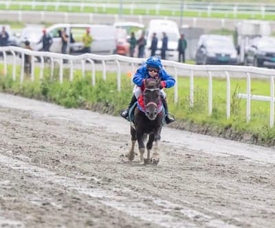 Inlägg 88 av Galopp med titeln Derby på Øvrevoll i Norge 🇳🇴 
