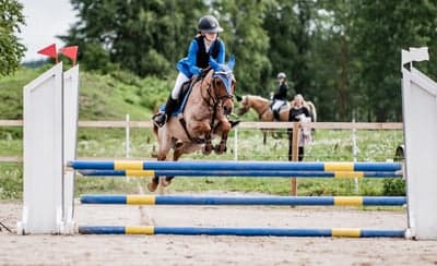 Inlägg 102 av Allround