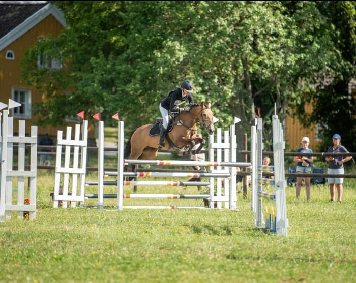 Media 2 av Castletown Darcey