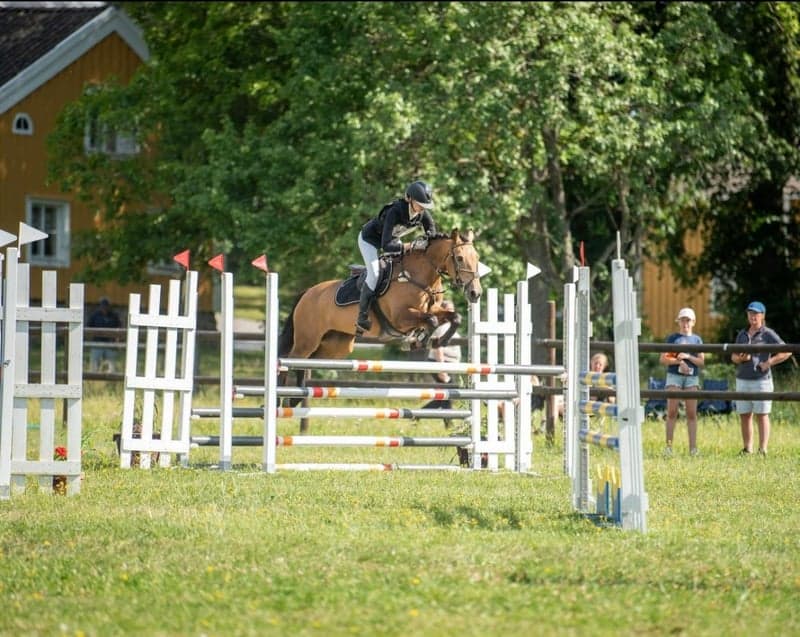 Bild 2 av Castletown Darcey