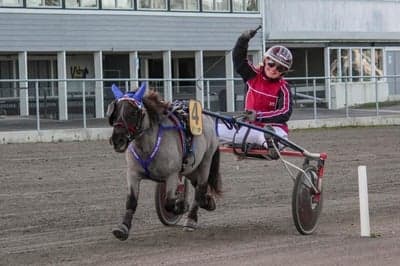 Inlägg 79 av Trav med titeln DPK’s ponnytravgala 