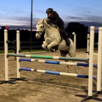 Toftegaards Knighthood