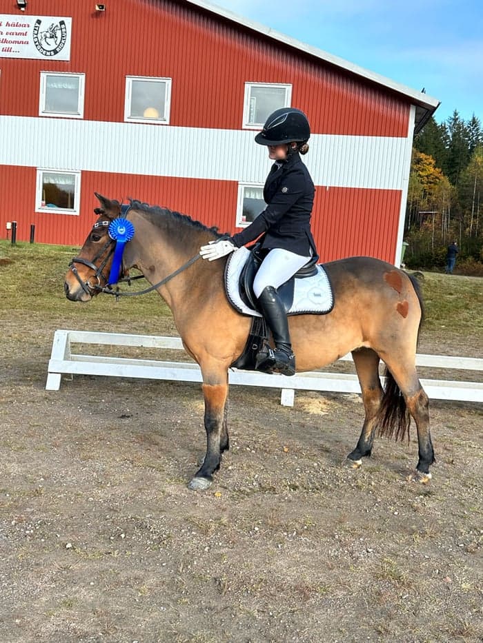Media 1 of Superfin bästa vän 