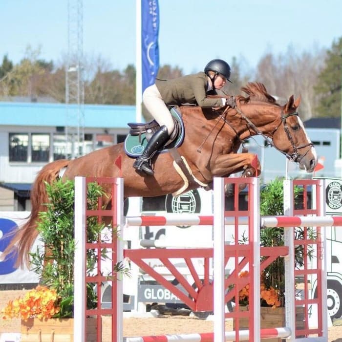 Media 1 of Nevada DV