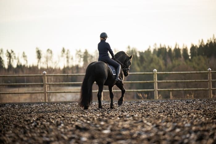 Media 2 av Matheus af Gisslarbo