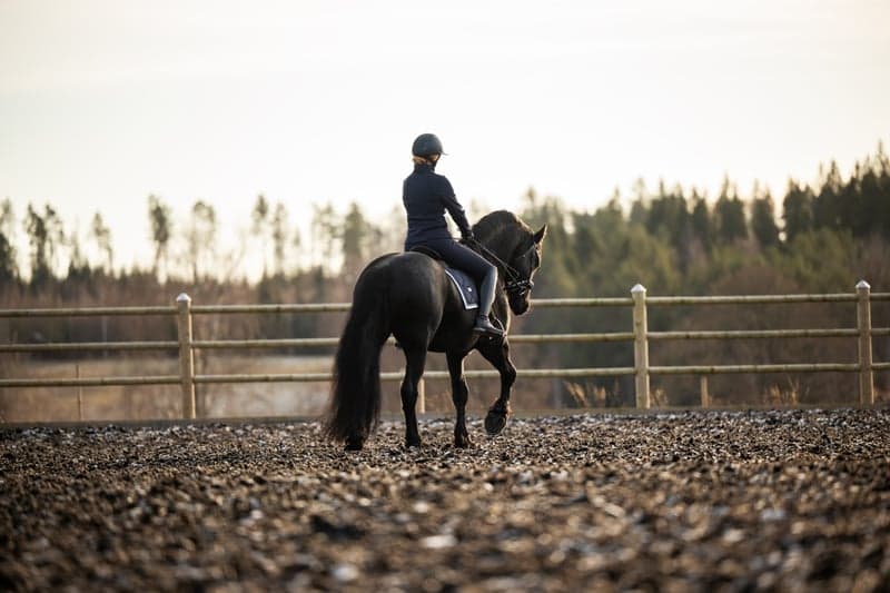 Bild 2 av Matheus af Gisslarbo