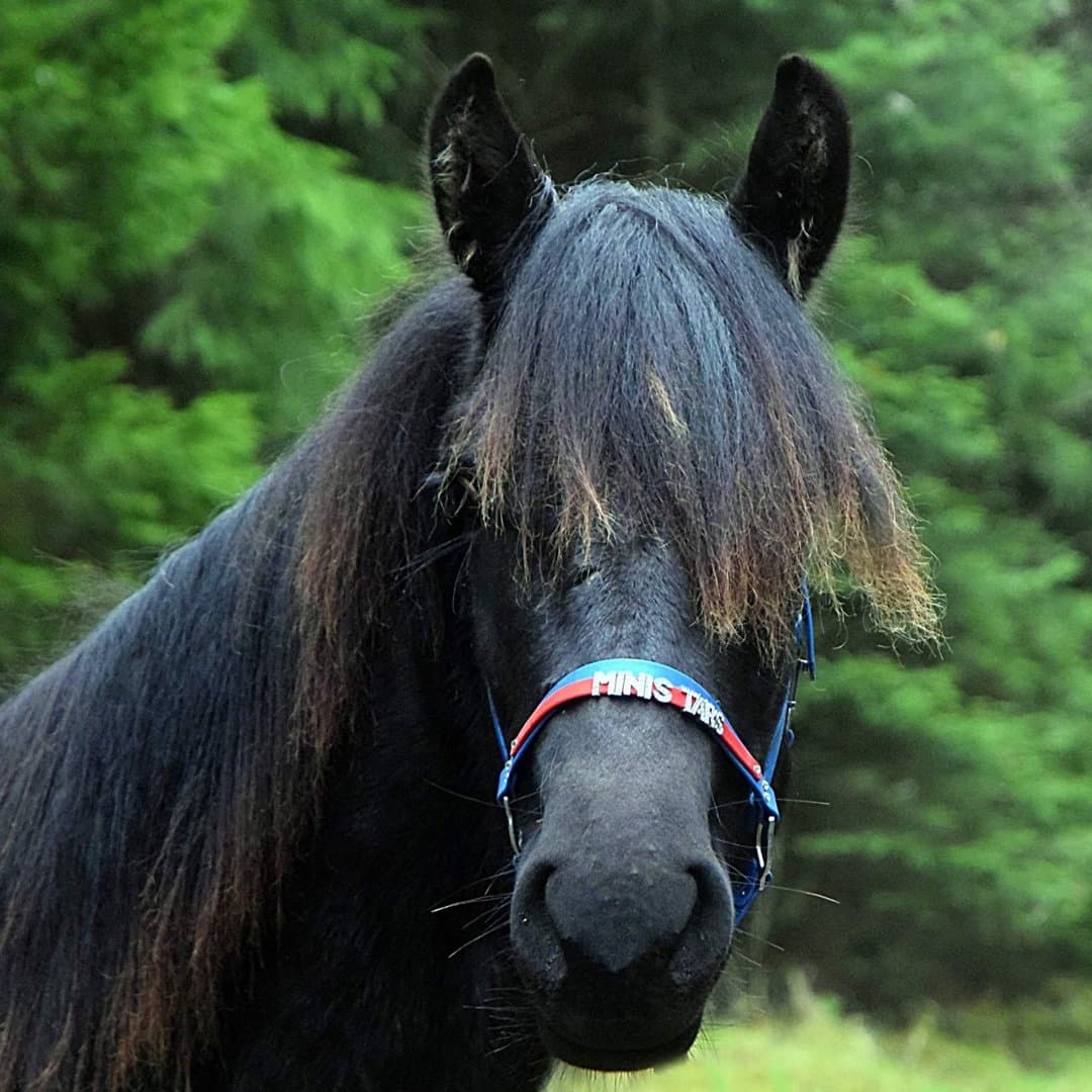 Bild 1 av Min Lilla Finurlig