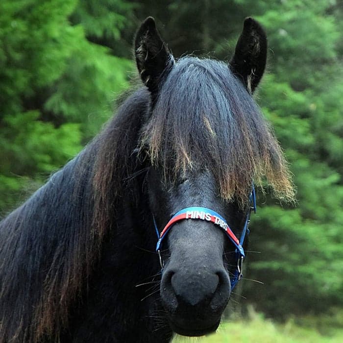 Media 1 av Min Lilla Finurlig