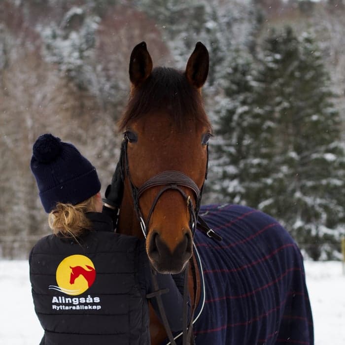 Media 1 av Lord Concord