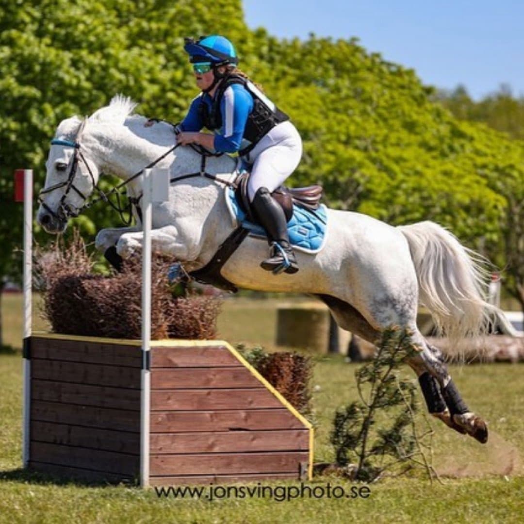 Image 1 of Barnaboy Gabrielle