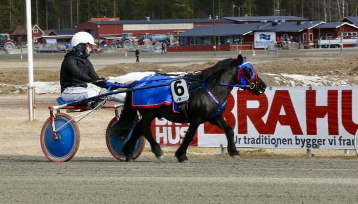 Media 4 av Nordanåkers Magnum