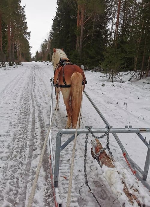 Bild av Trevlig kille 