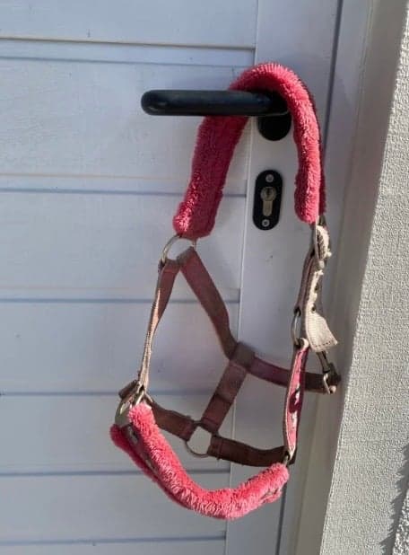 Bild av Rosa mulle grimma