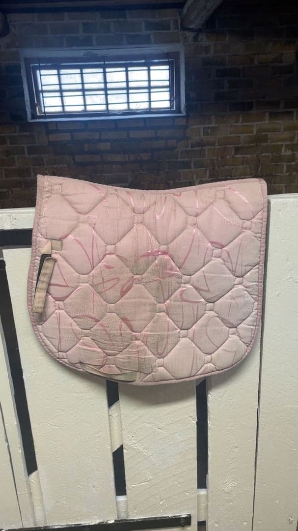 Bild 1 av Rosa schabrak