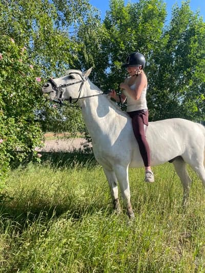 Inlägg 7 av Allround