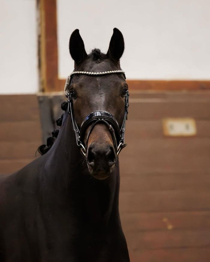 Media 1 av Für Elise MVG