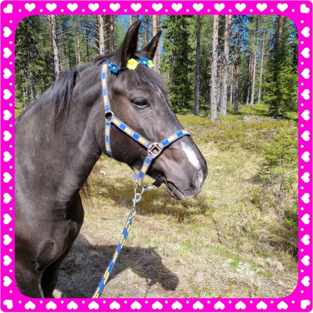 Image 1 of Björkås Docka