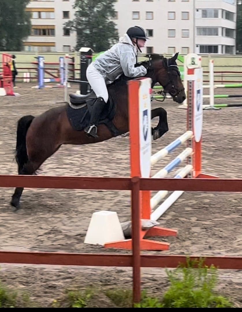 Image 1 of Munsboro peunut