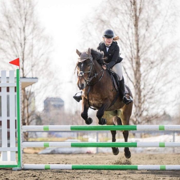 Media 1 av Wilmer Flax