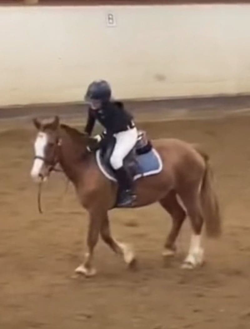 Bild 4 av Blått allroundschabrak från Trinity