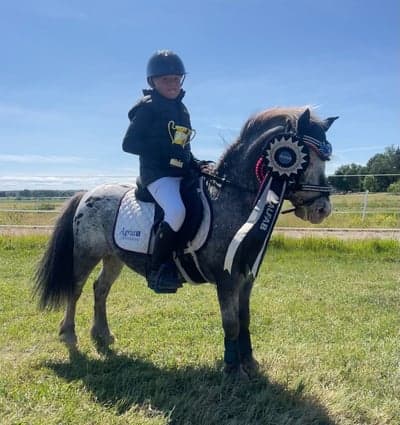 Inlägg 65 av Hoppning med titeln Arboga sport ryttare 