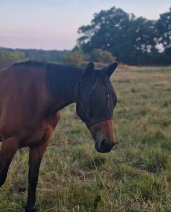 Media 9 av Portemonnaie (Penny)