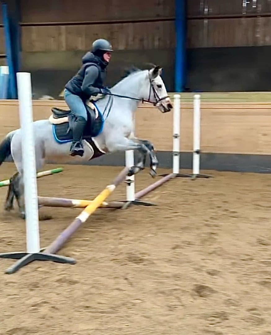 Bild 1 av Sto f.06 e. Lofty Roderic RC 74