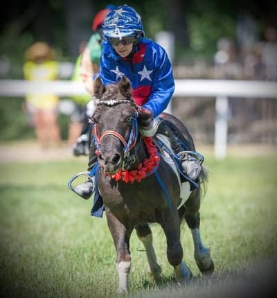 Inlägg 30 av Galopp med titeln SM med Tucken 🐎
