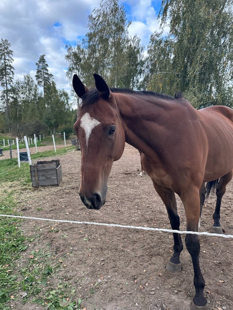 Bild 1 av Backcountry