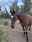 Profilbild av Backcountry