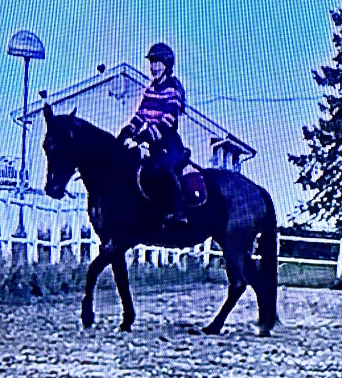 Media 1 av Mercedes Mauritz