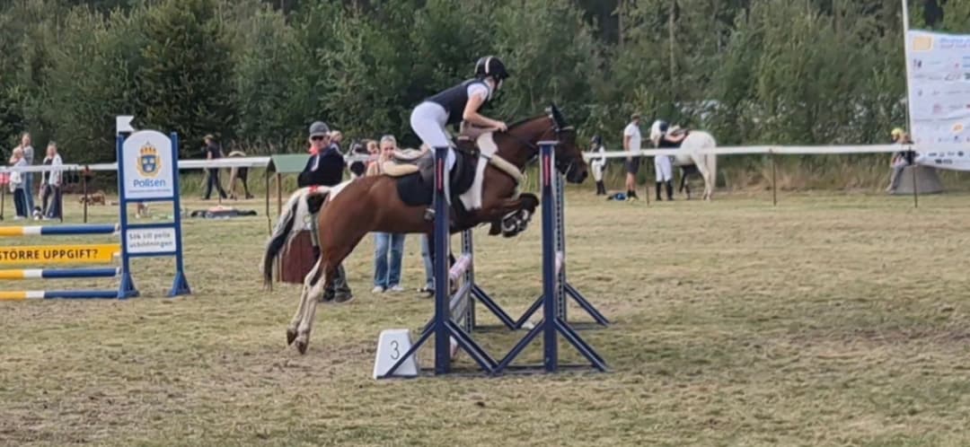 Bild 1 av Kiltulogue Lady