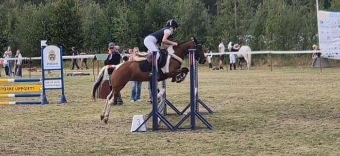 Media 4 av Kiltulogue Lady