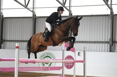 Inlägg 82 av Allround