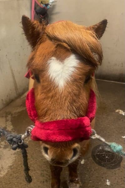 Inlägg 84 av Allround