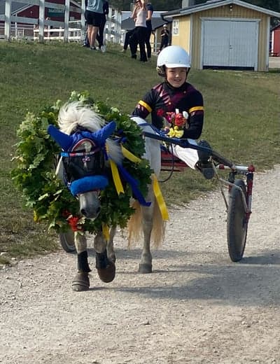 Inlägg 49 av Hoppning med titeln Ponnytrav 