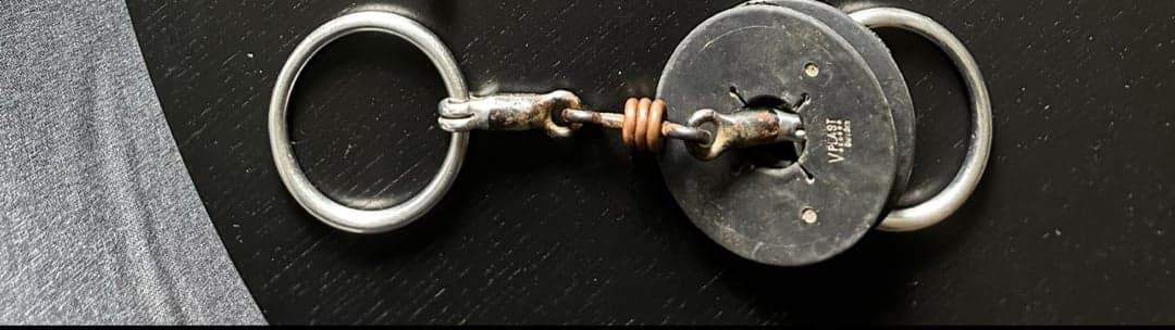 Bild 1 av Silverfärgat bett med koppar ringar